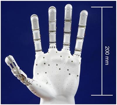 A Soft Five-Fingered Hand Actuated by Shape Memory Alloy Wires: Design, Manufacturing, and Evaluation